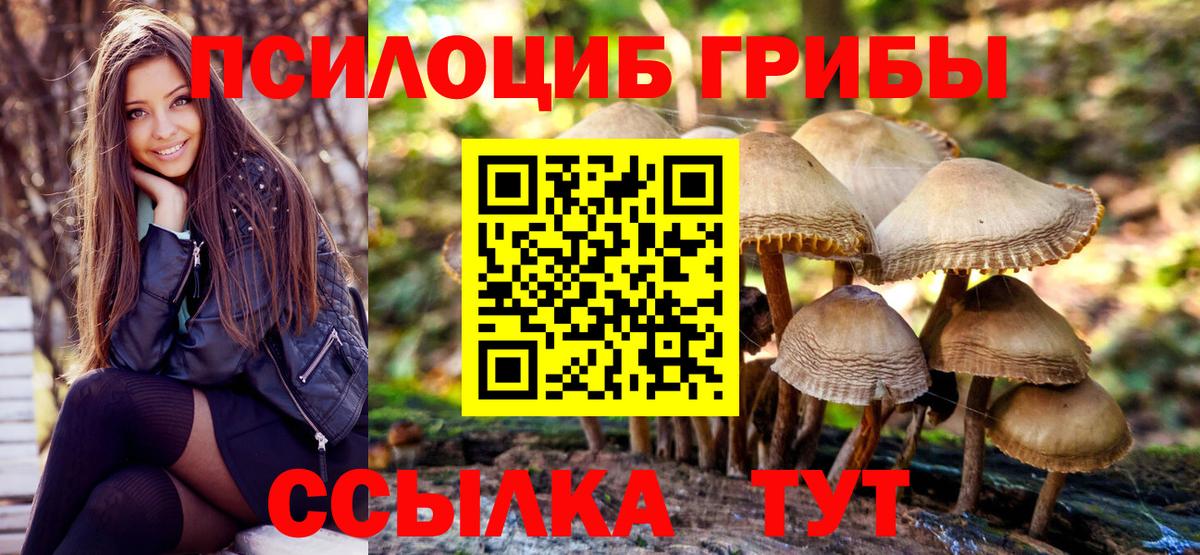 Псилоцибиновые грибы Psilocybine cubensis Лангепас